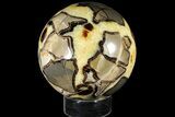 Huge, Polished Septarian Sphere ( lbs) - Madagascar #121948-1